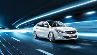 合肥大名銀獅汽車(chē)銷(xiāo)售服務(wù) 專(zhuān)業(yè)汽車(chē)銷(xiāo)售與全方位客戶(hù)體驗(yàn)